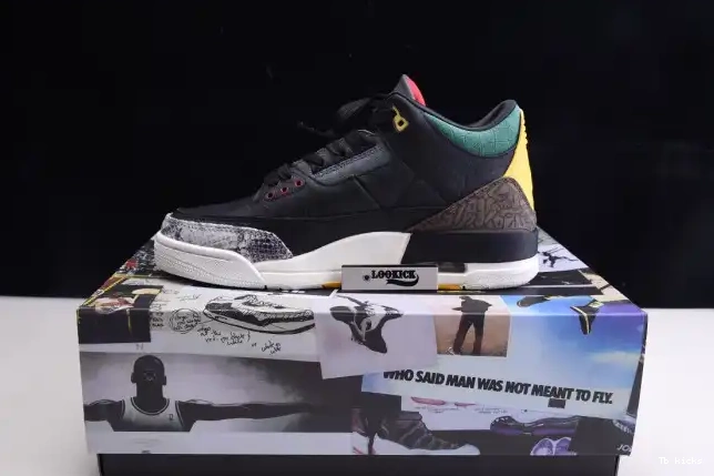 Reps TBK 2.0 Animal Air Retro Jordan - Instinct SE CV3583-003 3 0427